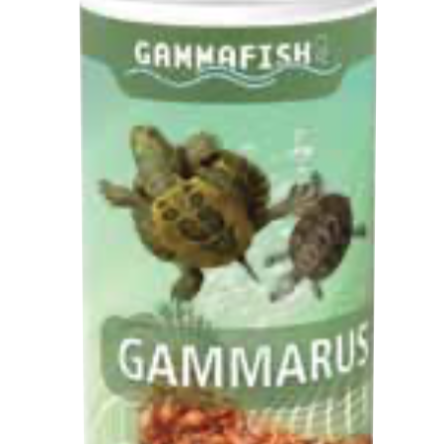 Gammarus